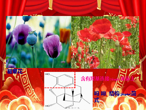 高中化学 第三章 烃的含氧衍生物 3.1 醇酚 3.1.2 酚课件高二选修5化学课件