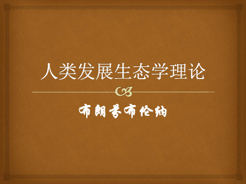 布朗芬布伦纳