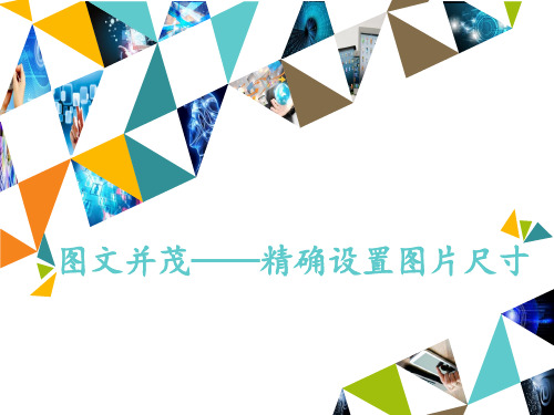 三年级下册信息技术课件-4.12图文并茂—精确设置图片尺寸 清华版(2012) (共14张PPT)