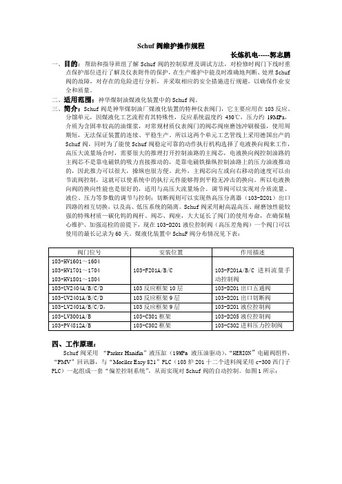 Schuf阀维护操作规程