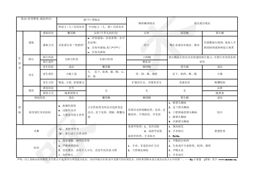 表格——绦虫