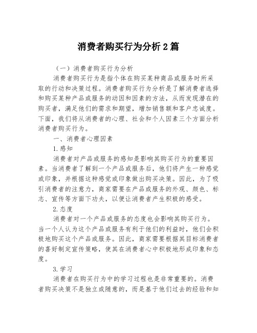 消费者购买行为分析2篇