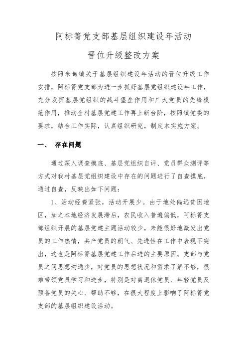 阿标箐党支部基层组织建设年活动晋位升级整改方案