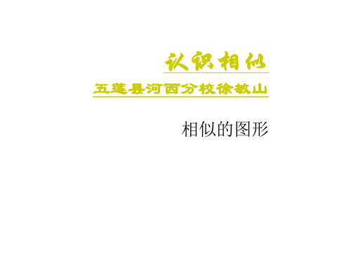 初二数学最新课件-相似形 精品