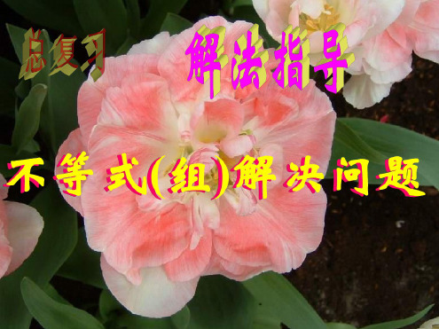 中考数学复习用不等式(组)解决问题4[人教版]