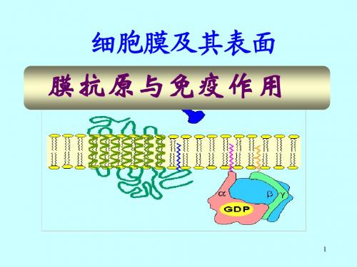 膜抗原与免疫作用及细胞膜与医药学