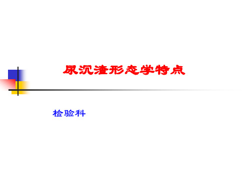 尿沉渣的形态PPT稿件课件