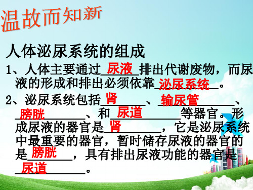 (网课)苏教版七年级下册生物课件第十一章第二节人体废物的排出(共63张PPT)