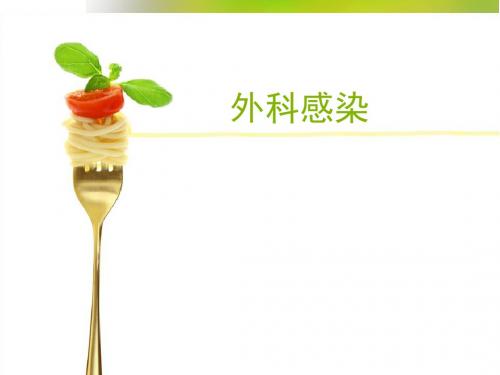 外科感染与抗生素的合理应用PPT课件