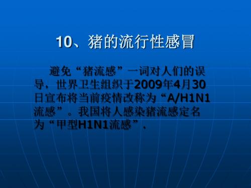 猪流行性感冒ppt课件