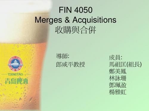 郎咸平教授------收购与合并----PPT90