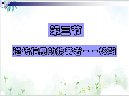 人教版必修一遗传信息的携带者-核酸(35张)-PPT优秀课件