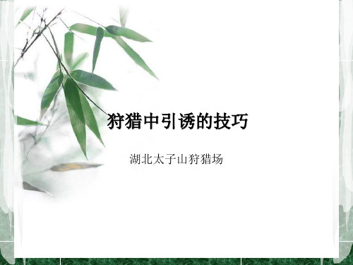 狩猎中引诱的技巧