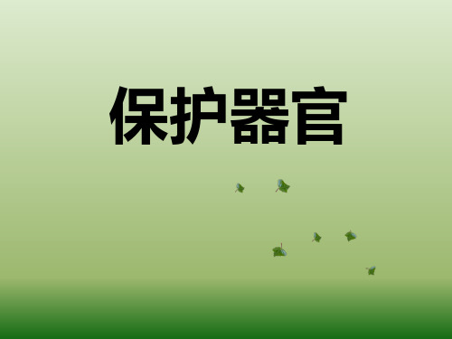 《保护器官》课件PPT