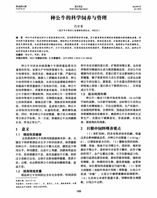 种公牛的科学饲养与管理