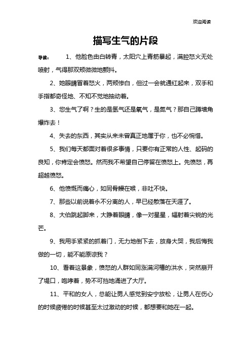 描写生气的片段