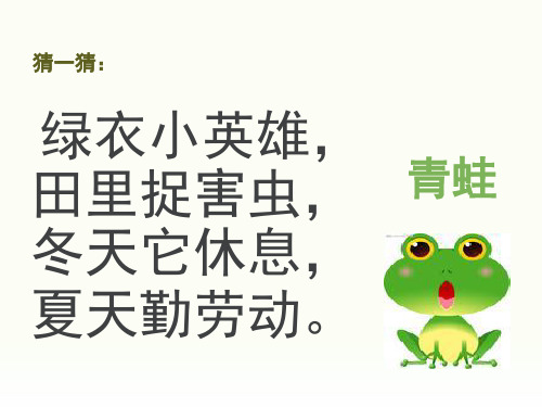 部编版《小青蛙》PPT精品课件