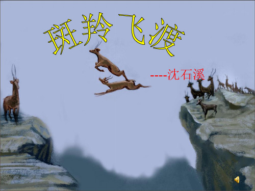 斑羚飞渡PPT课件