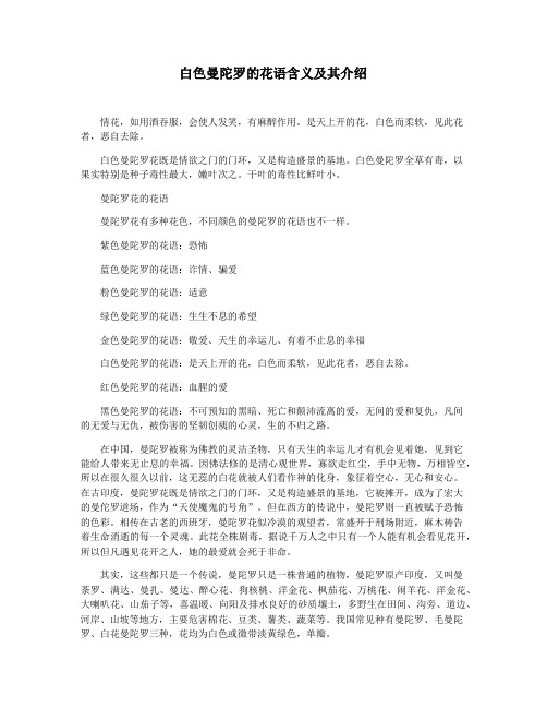 白色曼陀罗的花语含义及其介绍