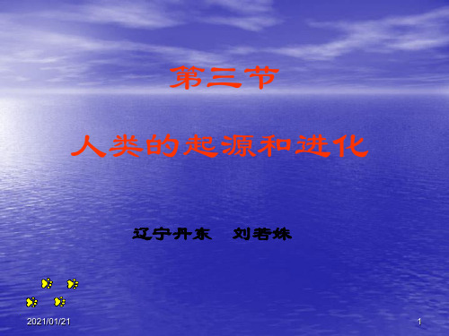 人类的起源与进化PPT教学课件