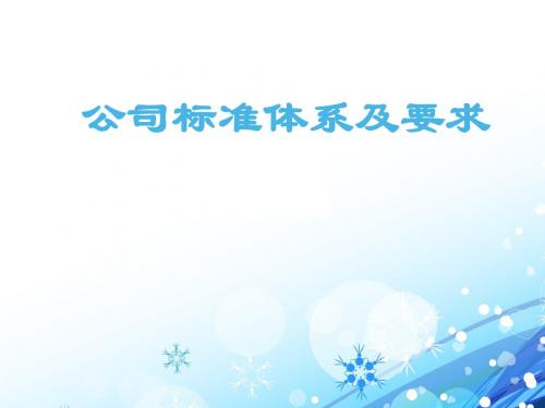 公司标准化体系及要求  ppt课件