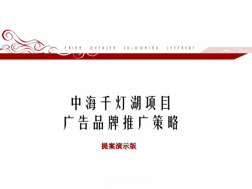 中海千灯湖项目广告品牌推广策略报告