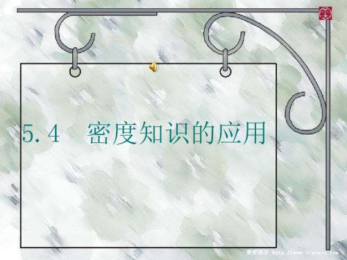 5.4密度知识的应用模板