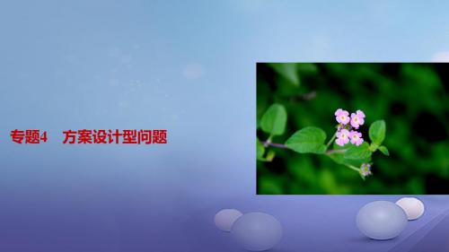 浙江省2017年中考数学总复习专题4方案设计型问题课件
