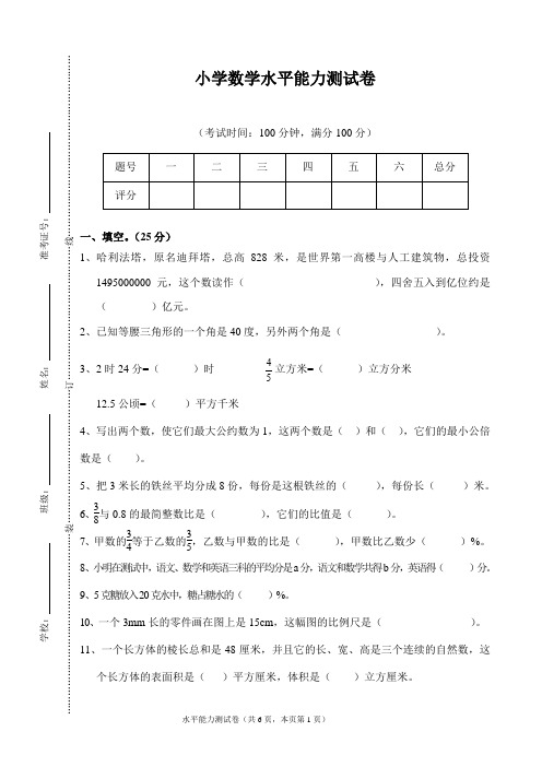 小学水平能力测试卷及答案