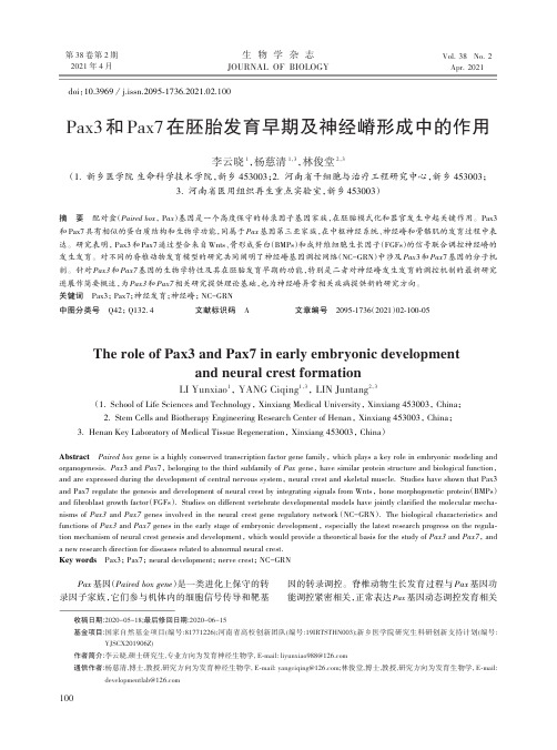 Pax3和Pax7在胚胎发育早期及神经嵴形成中的作用