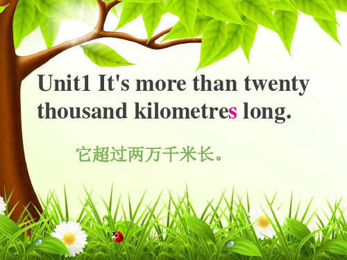 外研版(三起)六年级上册英语module1 unit1 It's more than twenty 