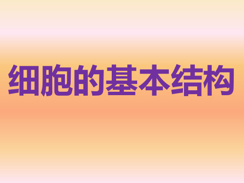 人教版高中生物必修1：细胞的基本结构——细胞器