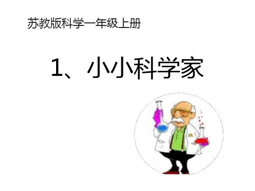 【苏教版】2018年小学科学一年级上册：全册ppt教学课件
