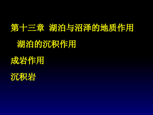 第十三章 湖泊与沼泽的地质作用PPT课件