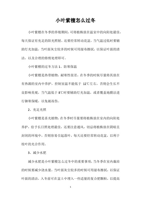 小叶紫檀怎么过冬
