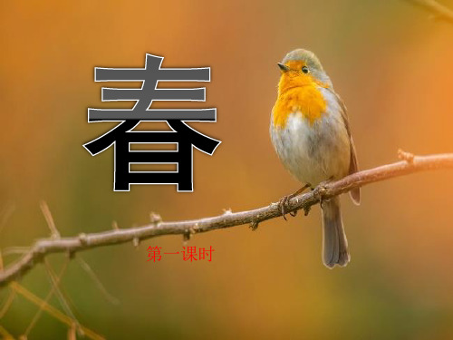 语文七上《春》课件第一课时(先学后教)