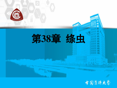 医学原虫学- 绦虫
