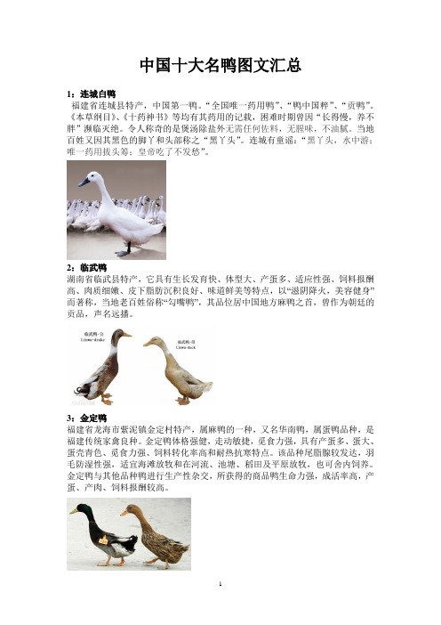中国十大名牌鸭子图文汇总