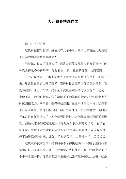 大开眼界精选作文
