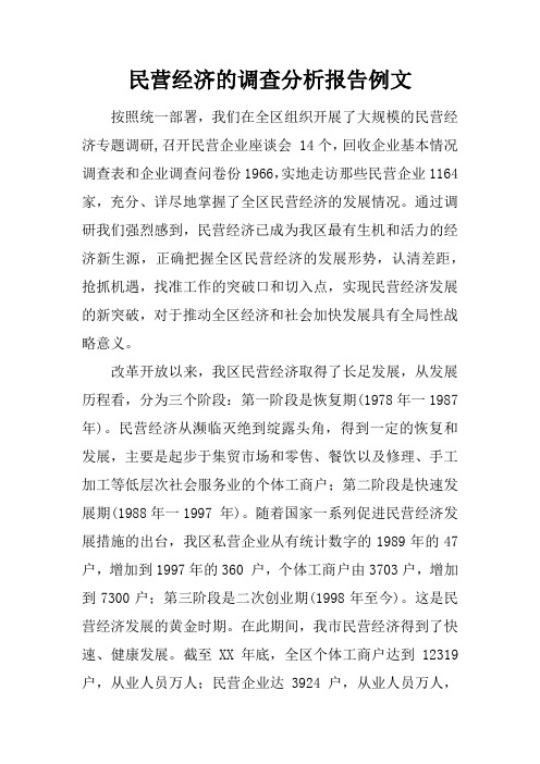 民营经济的调查分析报告例文