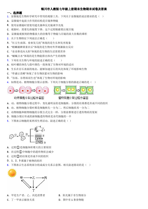 银川市人教版七年级上册期末生物期末试卷及答案