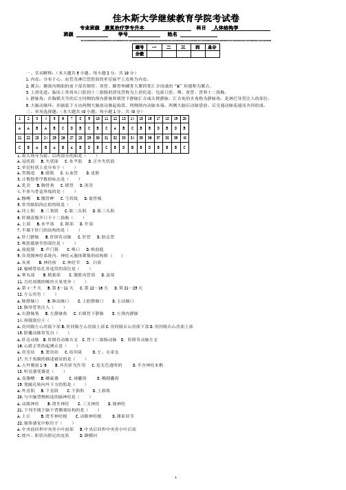 人体结构学答案