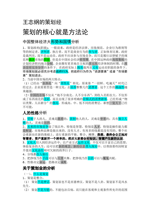 王志纲策划经