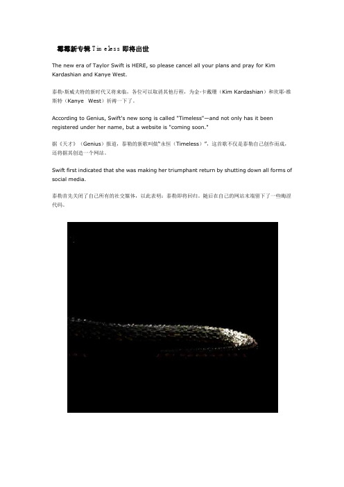 霉霉新专辑Timeless即将出世