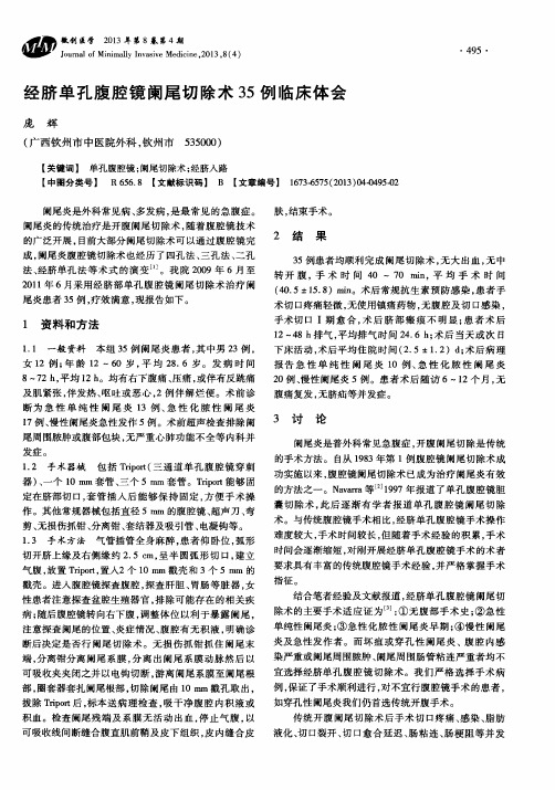 经脐单孔腹腔镜阑尾切除术35例临床体会