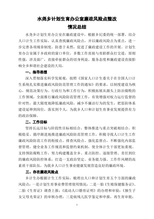 计生办廉政风险点整改情况工作总结
