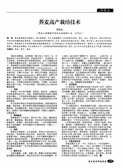 荞麦高产栽培技术