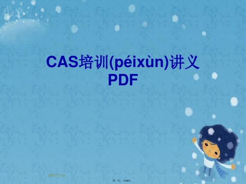CAS培训讲义PDF
