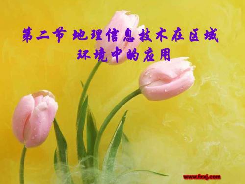 【高中地理】地理信息技术在区域环境中的应用ppt