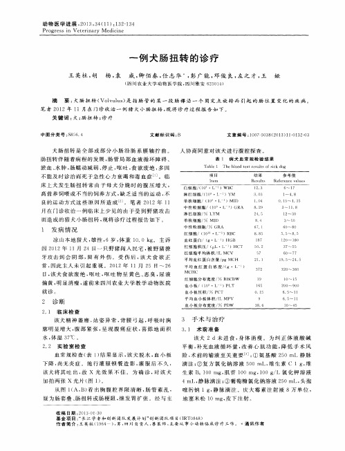 一例犬肠扭转的诊疗